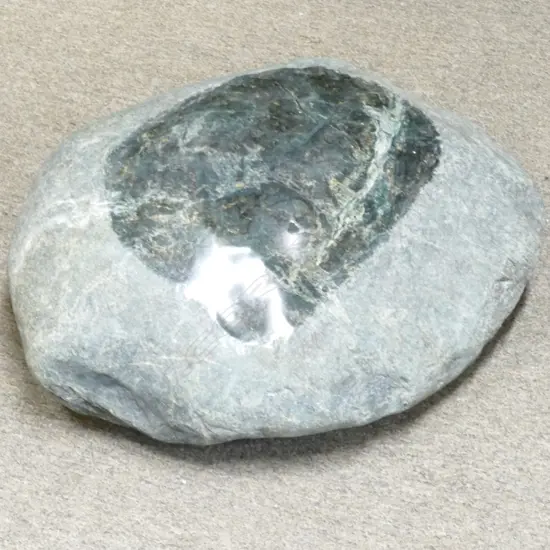 A large greenstone (serpentinite) river worn boulder