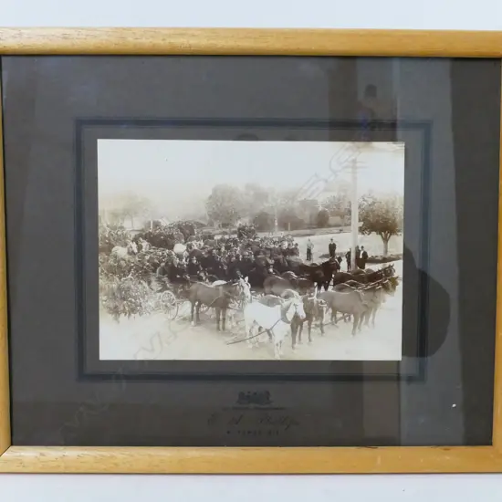 Three framed vintage photographs