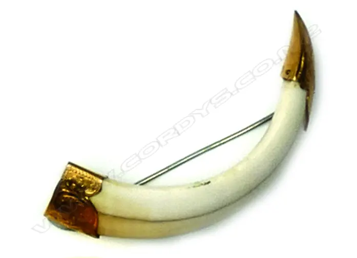 An Edwardian 9ct. yellow gold mounted boar's tusk brooch Image 1++