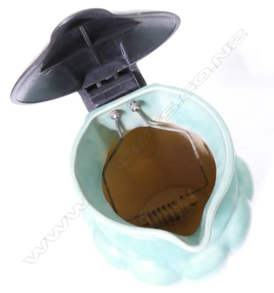 Two Temuka Ware electric jugs Image 1++