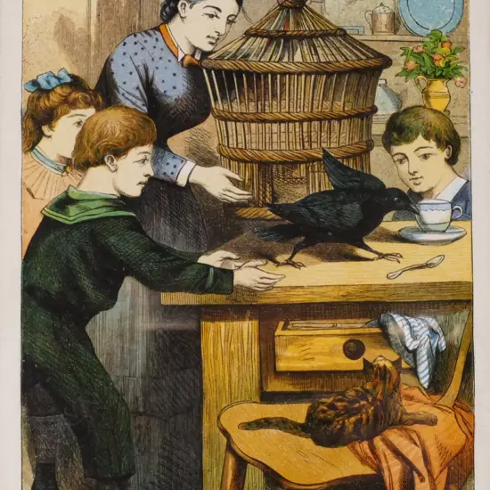 A set of four coloured illustrations from childrens books