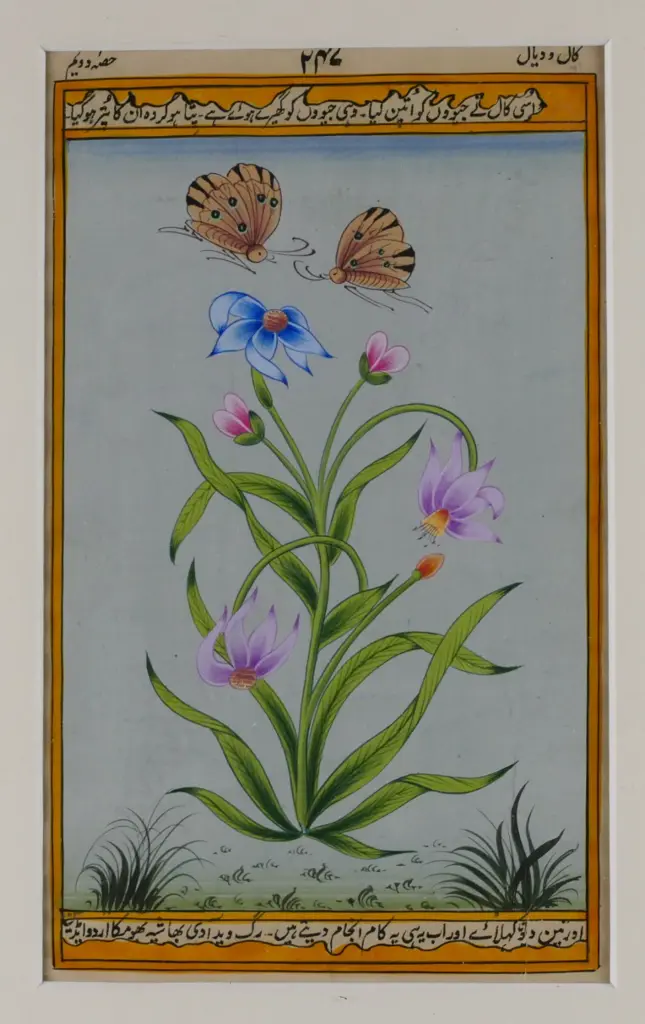 A set of four Indian Mughul paintings Image 1++