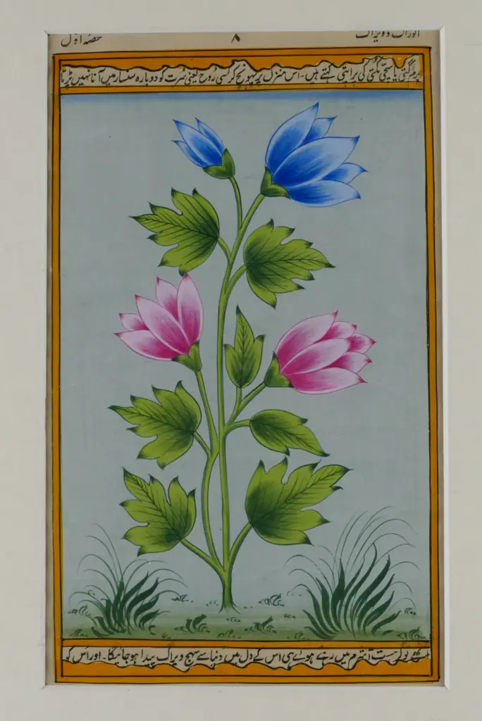 A set of four Indian Mughul paintings Image 1++