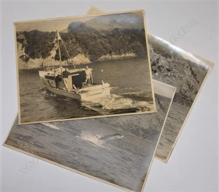 Four c.1960 vintage black and white photos taken by Tudor Collins Studio Image 1++