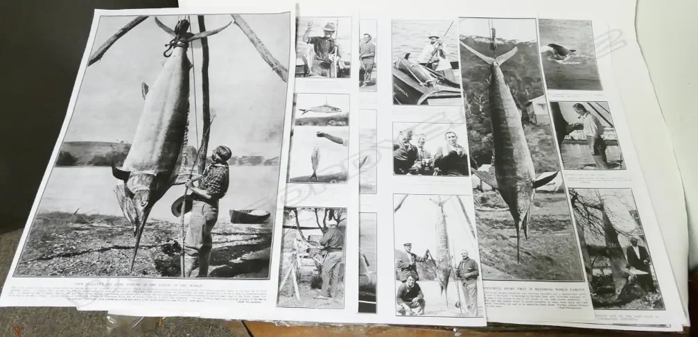 Various vintage printed big game fishing material Image 1++