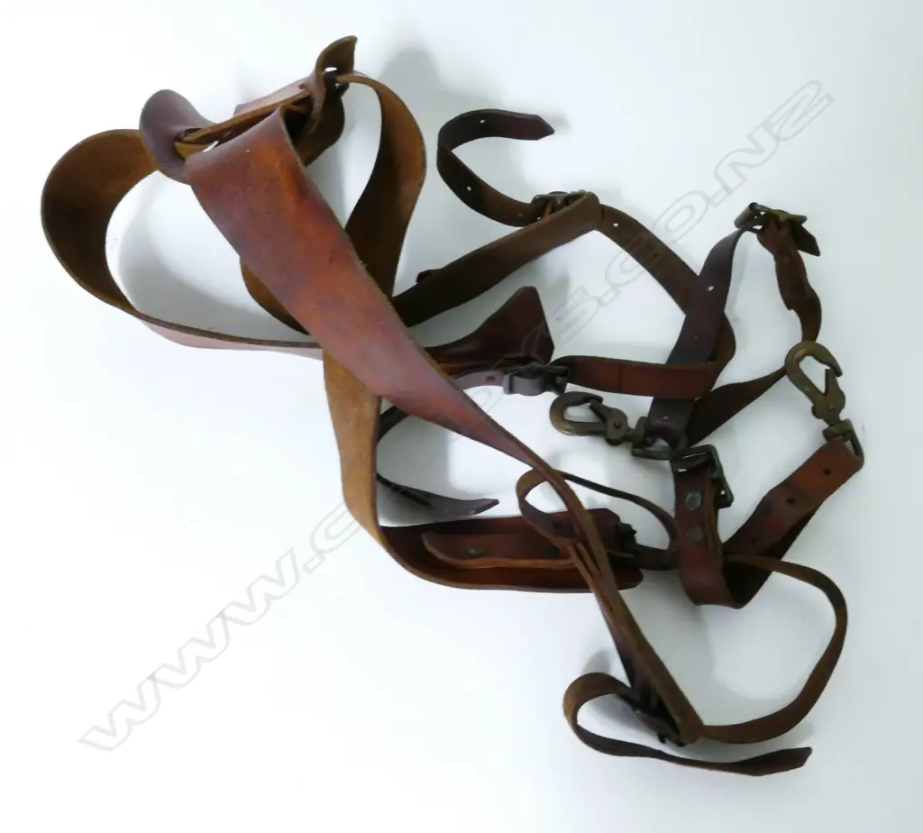 LEATHER BODY HARNESS FOR BIG GAME FISHING Image 1++