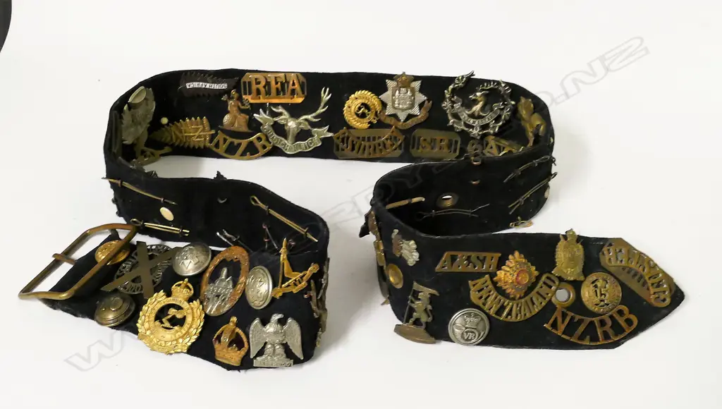 An Air Force great coat belt mounted with badges and buttons Image 1++