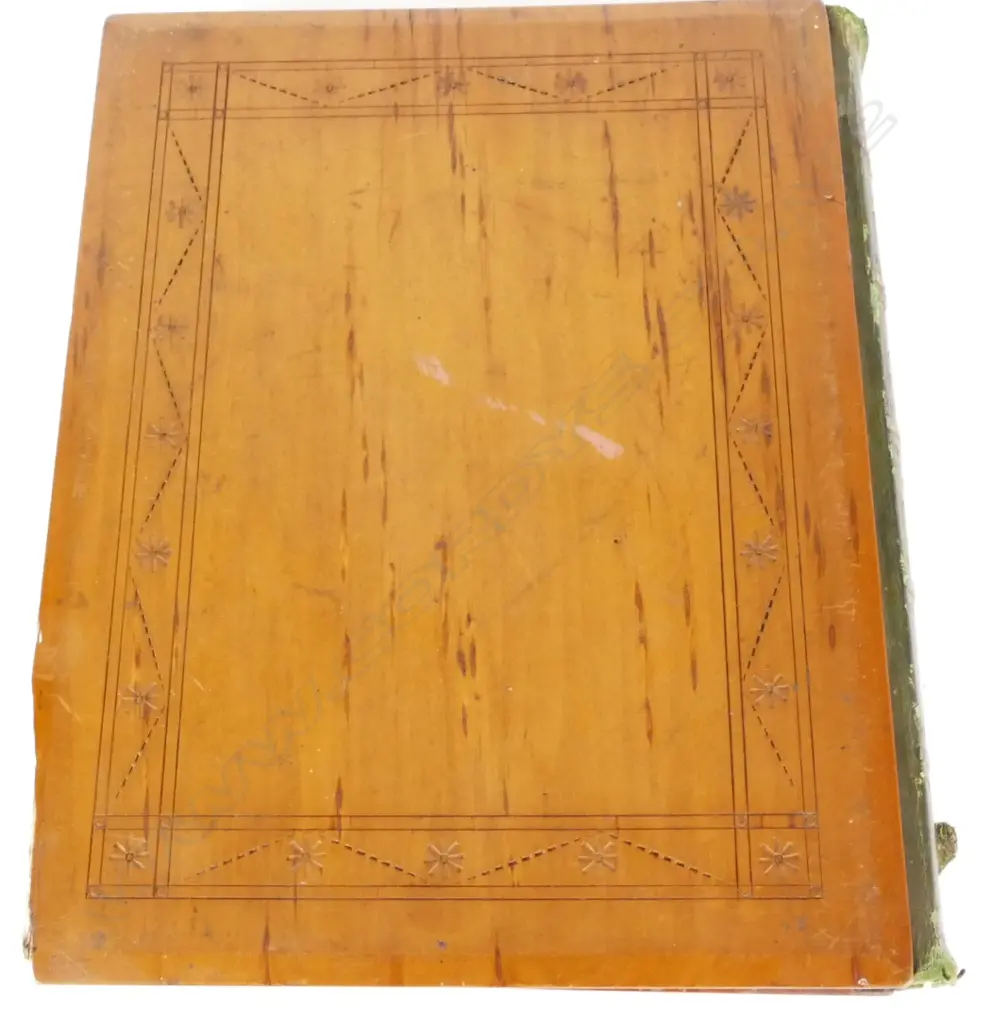 A 19thC album 'New Zealand Ferns' Image 1++