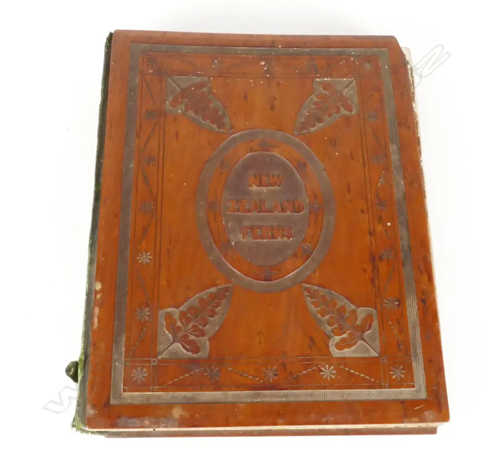 A 19thC album 'New Zealand Ferns' Image 1++