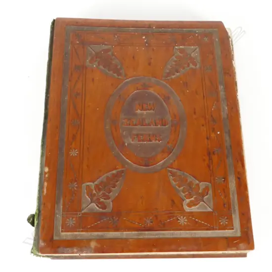 A 19thC album 'New Zealand Ferns'