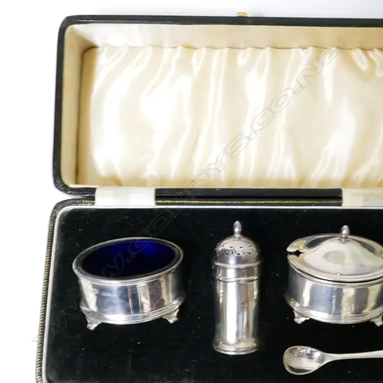A cased three piece condiment set