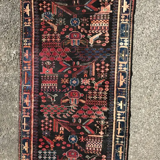 An Iranian Hamadan runner