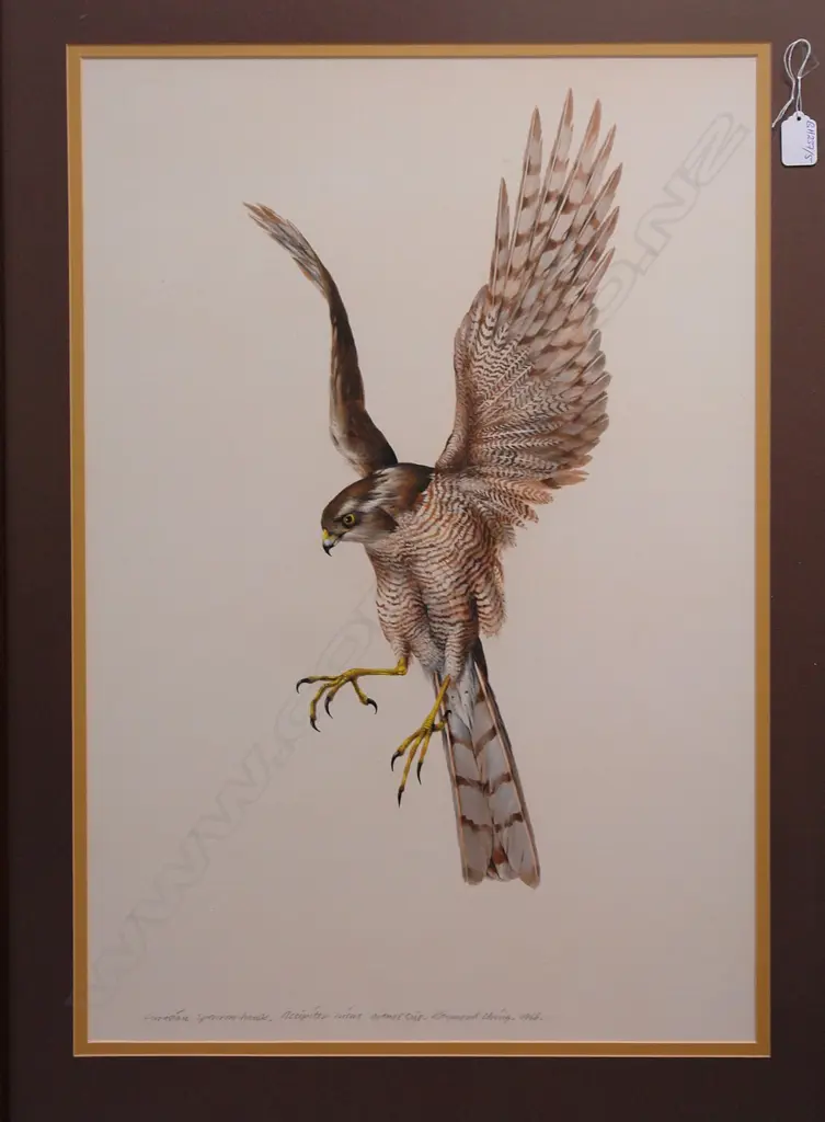 Raymond Ching Image 1++