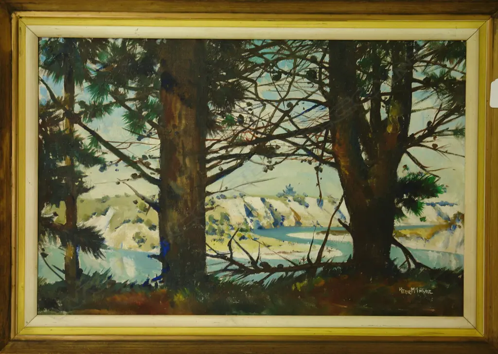 Peter McIntyre Image 1++