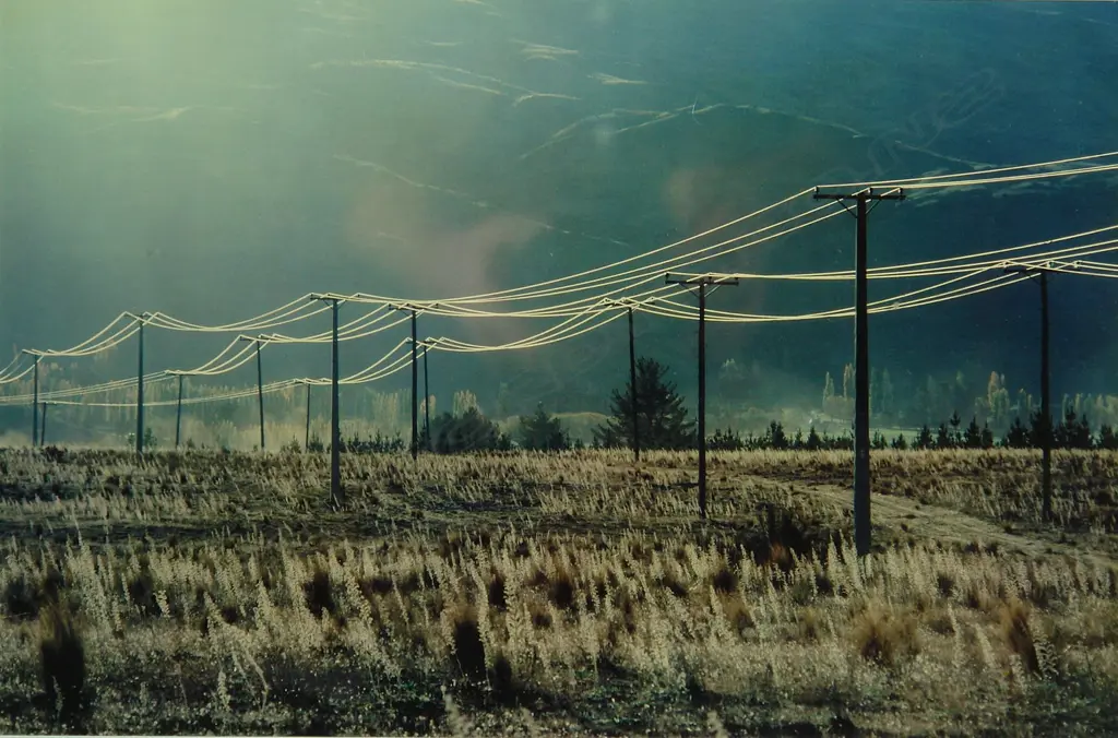 Robin Morrison (1944-1993) Image 1++