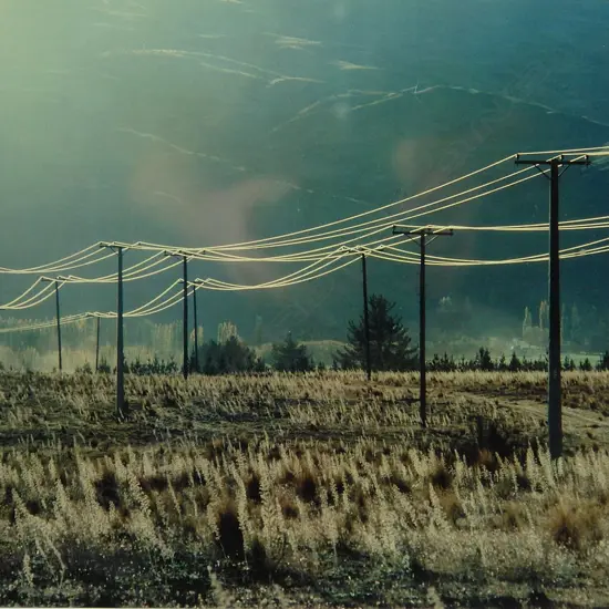 Robin Morrison (1944-1993)