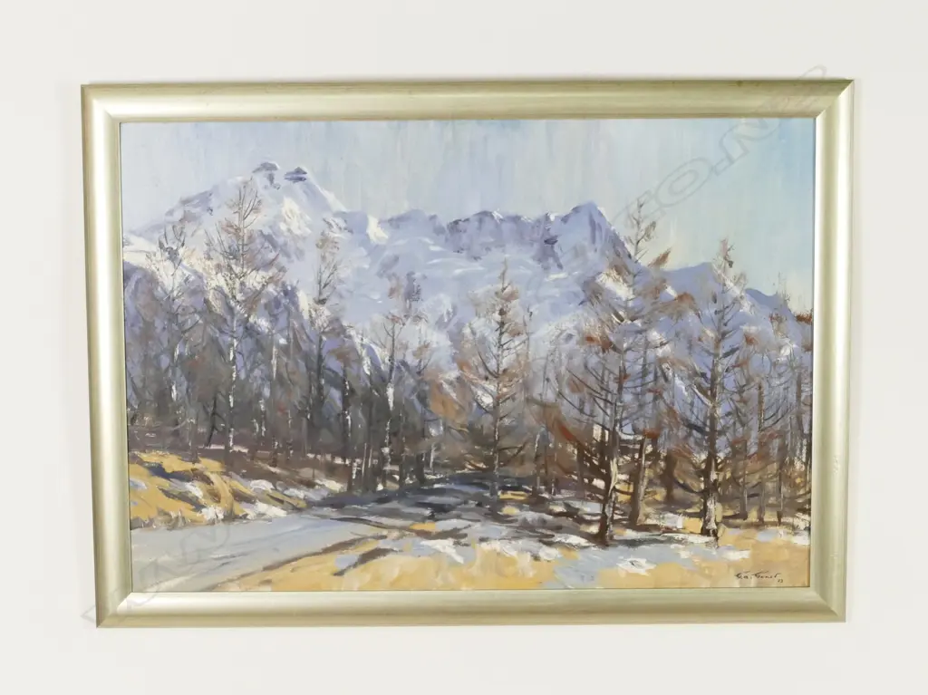 G.A. Genet 'Mt Sefton' Image 1++