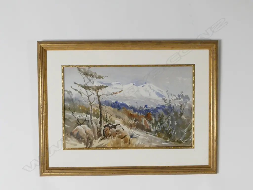 Birtchnell Delph Image 1++