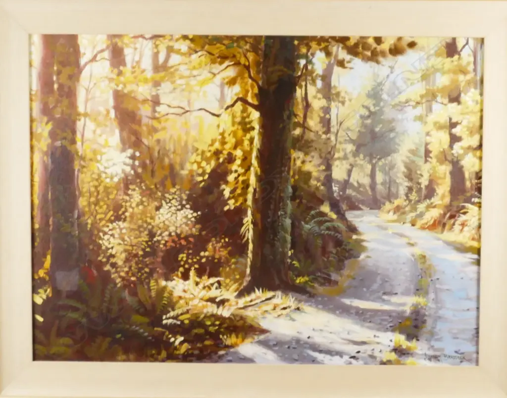 Graham Braddock Image 1++