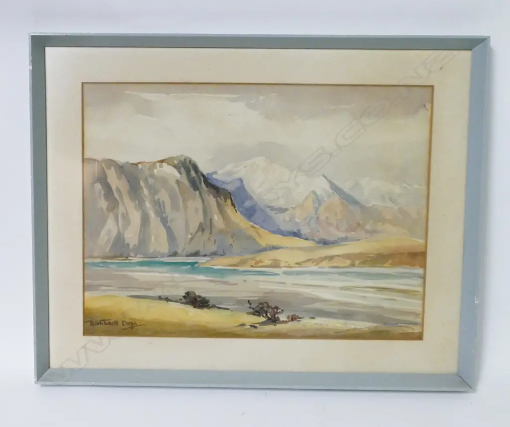 Birtchnell Delph Image 1++