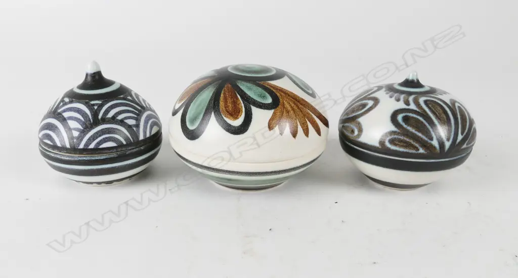 Anneke Borren Image 1++