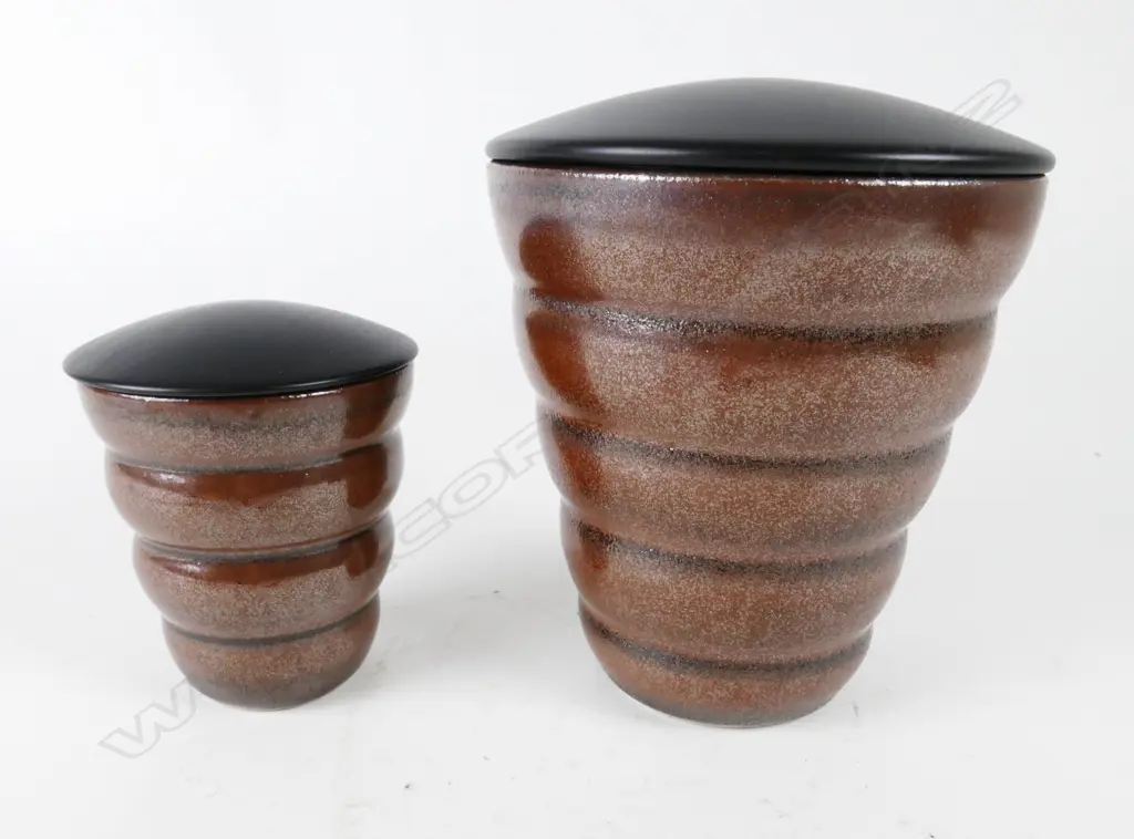 Anneke Borren Image 1++