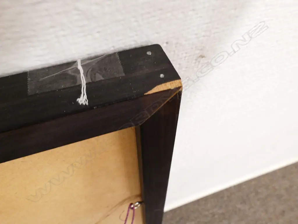 Anneke Borren Image 1++