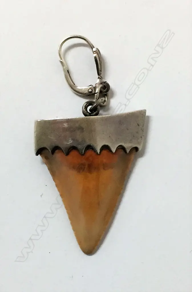 FOSSILISED SHARK TOOTH SILVER MOUNTED EARLY 1970'S Image 1++