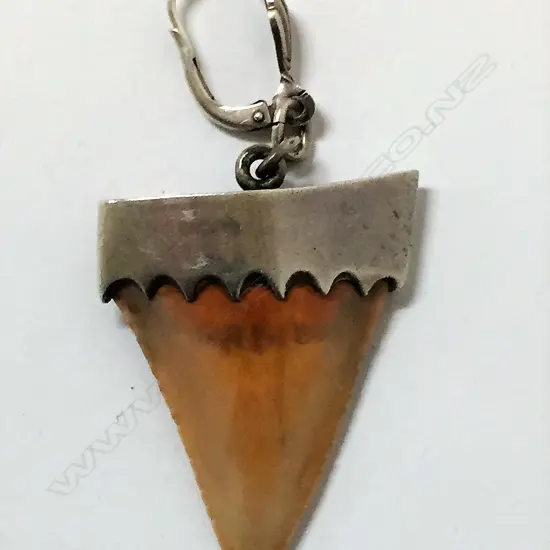 FOSSILISED SHARK TOOTH SILVER MOUNTED EARLY 1970'S