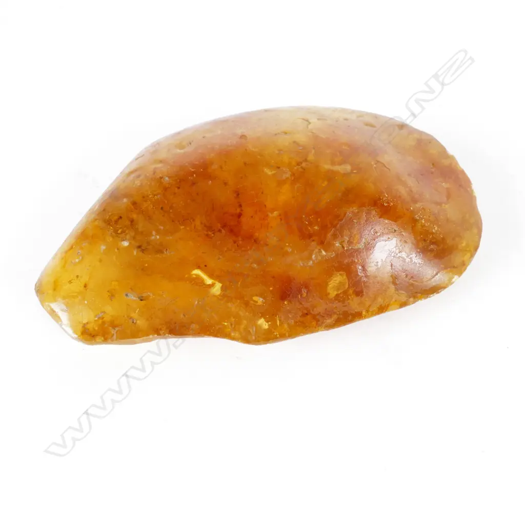 Piece of honey coloured kauri gum Image 1++