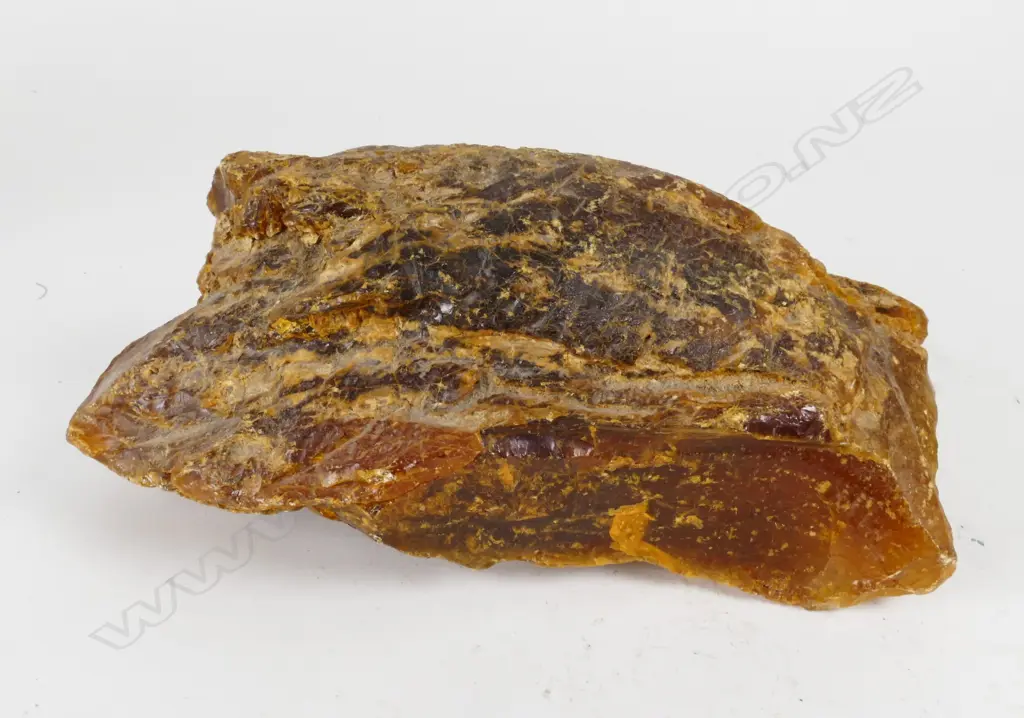 Kauri gum boulder Image 1++