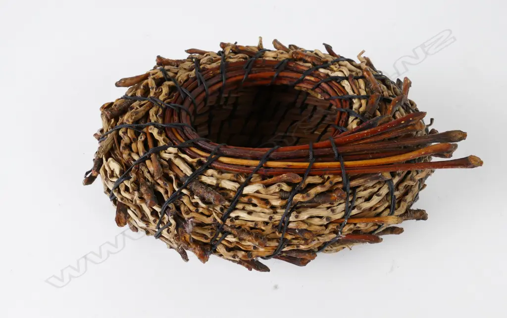 Willa Rogers Image 1++