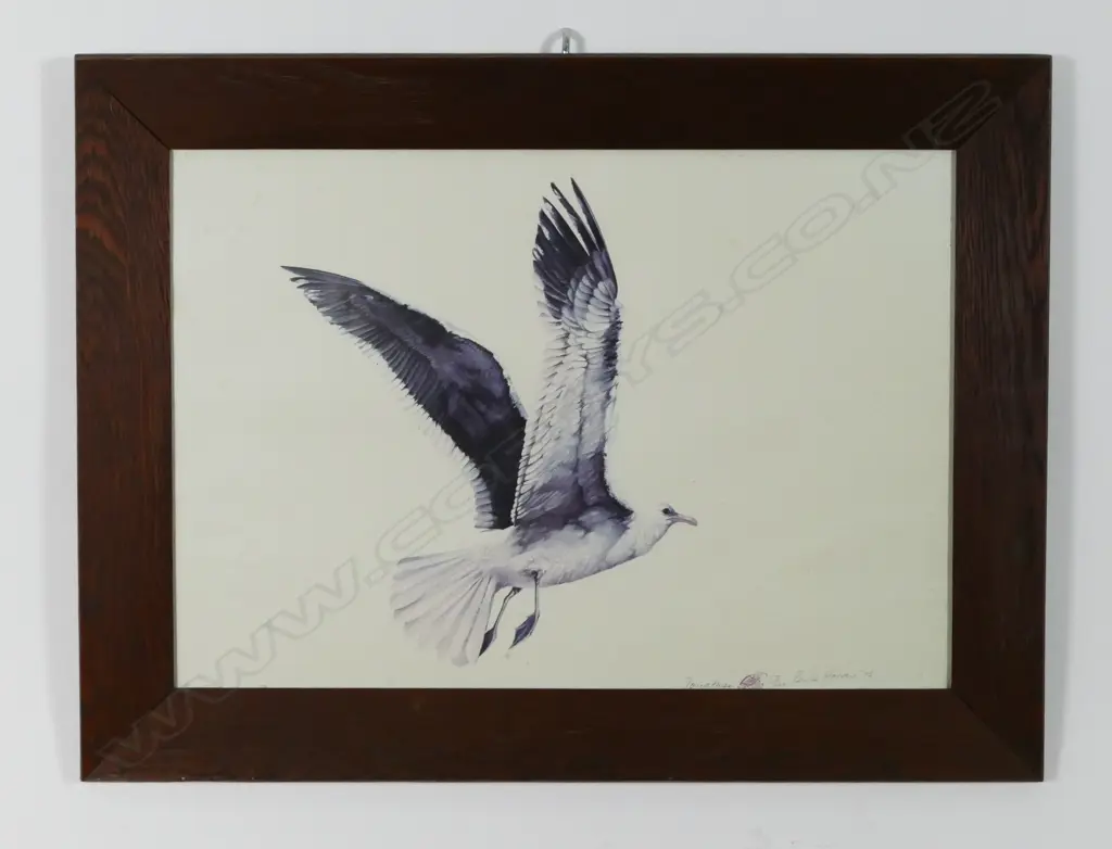 Bruce Harvey Image 1++