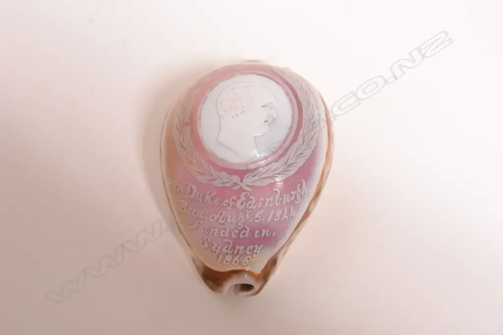 A 19thC Royalty interest cowrie shell Image 1++