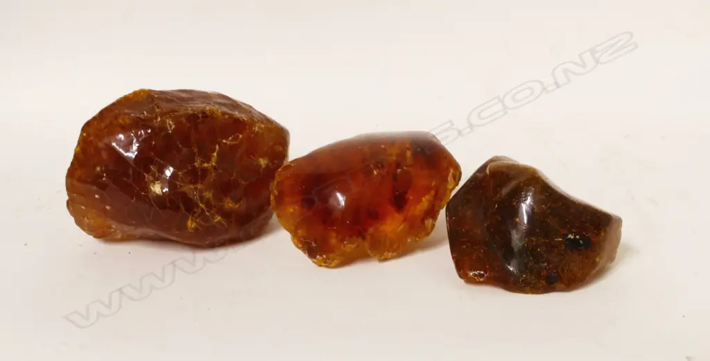 Three kauri pieces Image 1++