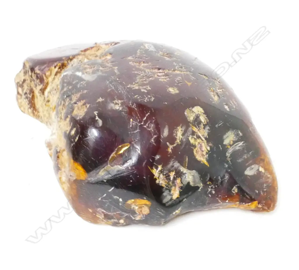 A piece of kauri gum Image 1++