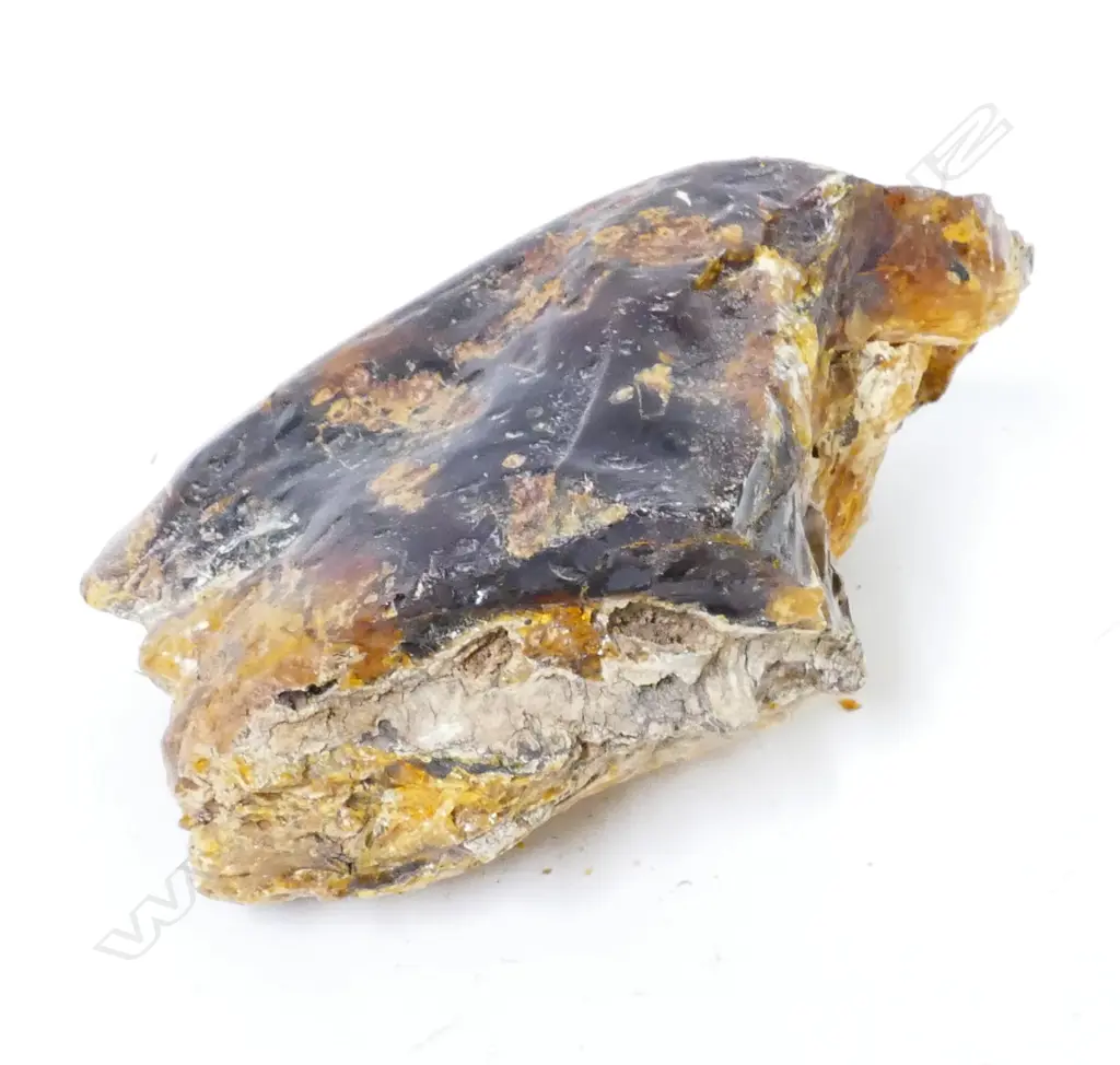 Two pieces of kauri gum Image 1++