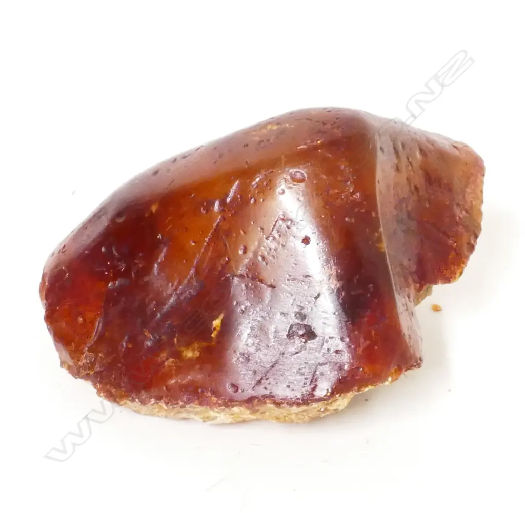 A piece of kauri gum Image 1++