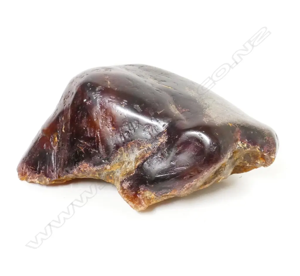 A large kauri gum boulder Image 1++