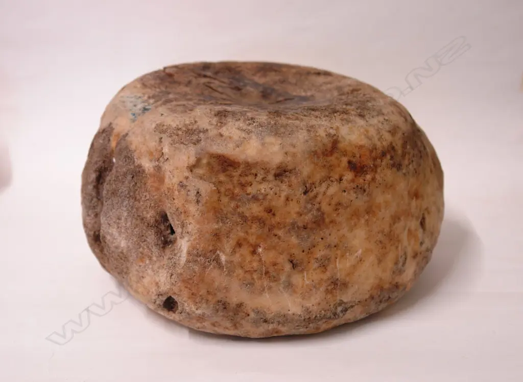 An old whalebone vertabre Image 1++