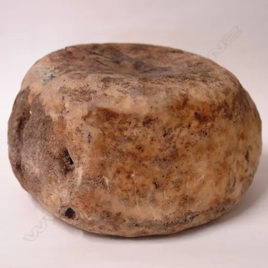 An old whalebone vertabre