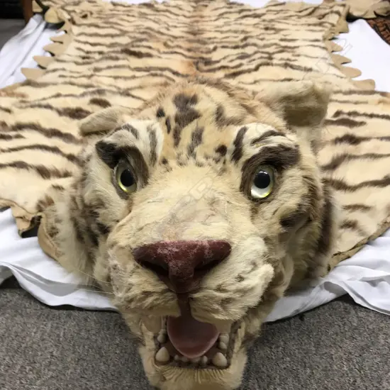 An genuine vintage recreation tiger skin rug