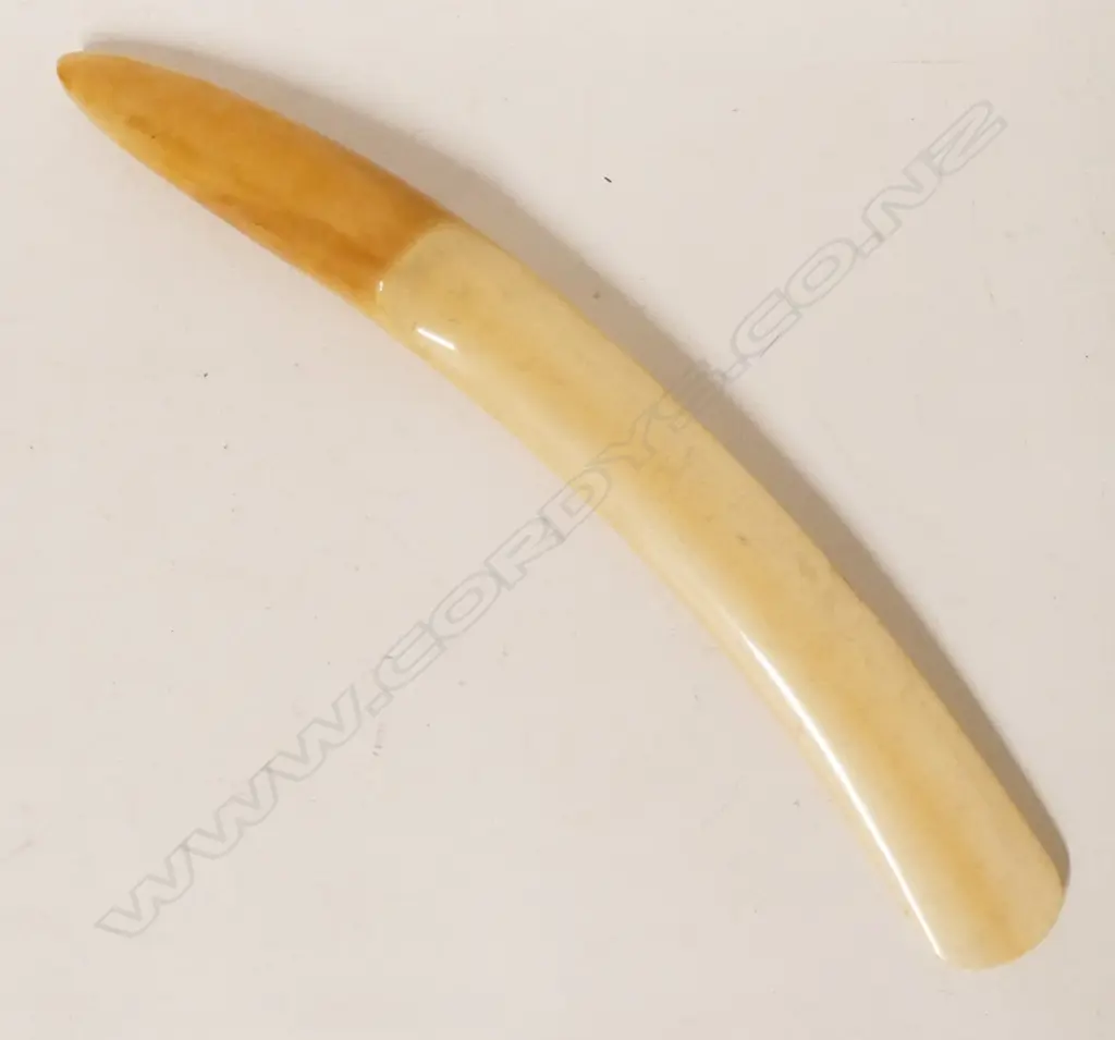 A 19thC ivory tusk section page turner Image 1++