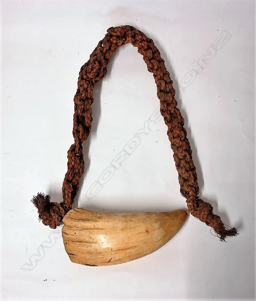 A 19thC large Fijian tabua Image 1++