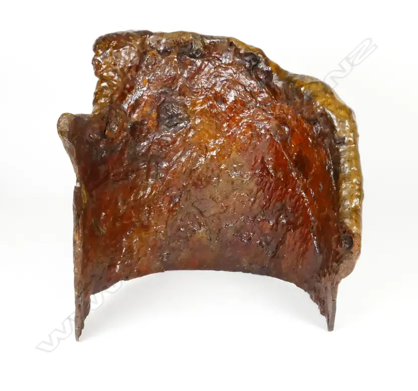 A large kauri timber burl Image 1++