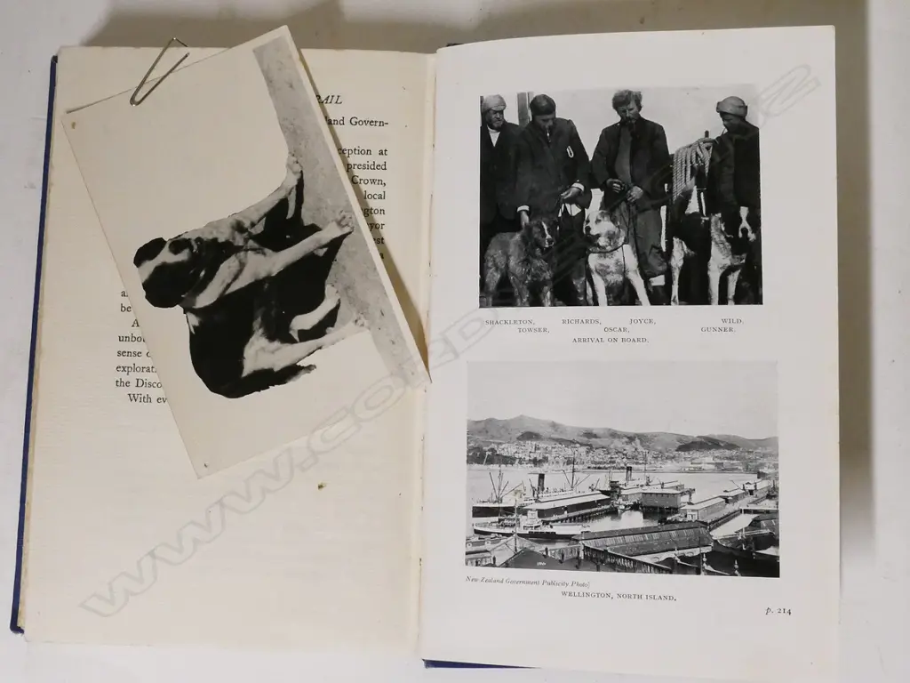 Historical items belonging to Captain Ernest E.M. Joyce Image 1++