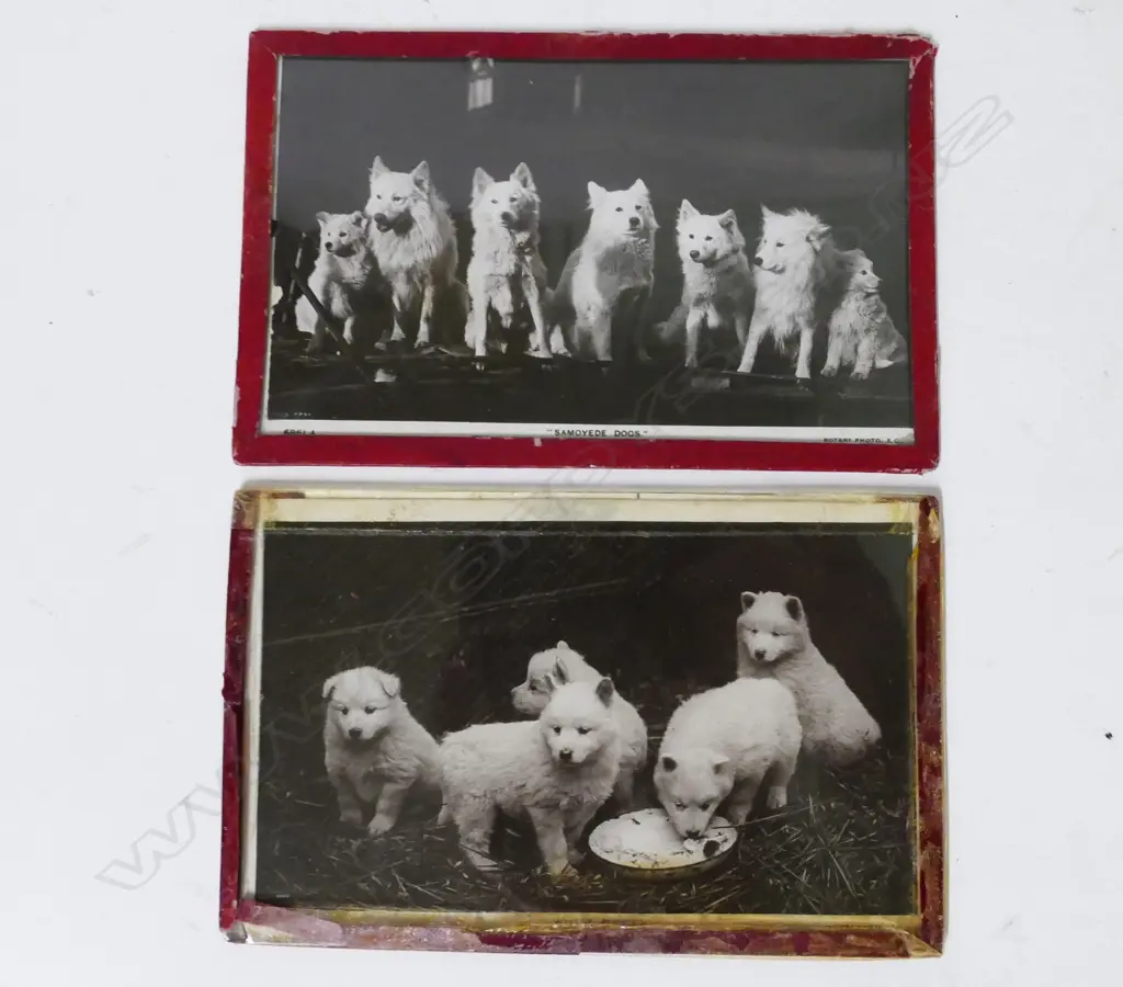 Historical items belonging to Captain Ernest E.M. Joyce Image 1++