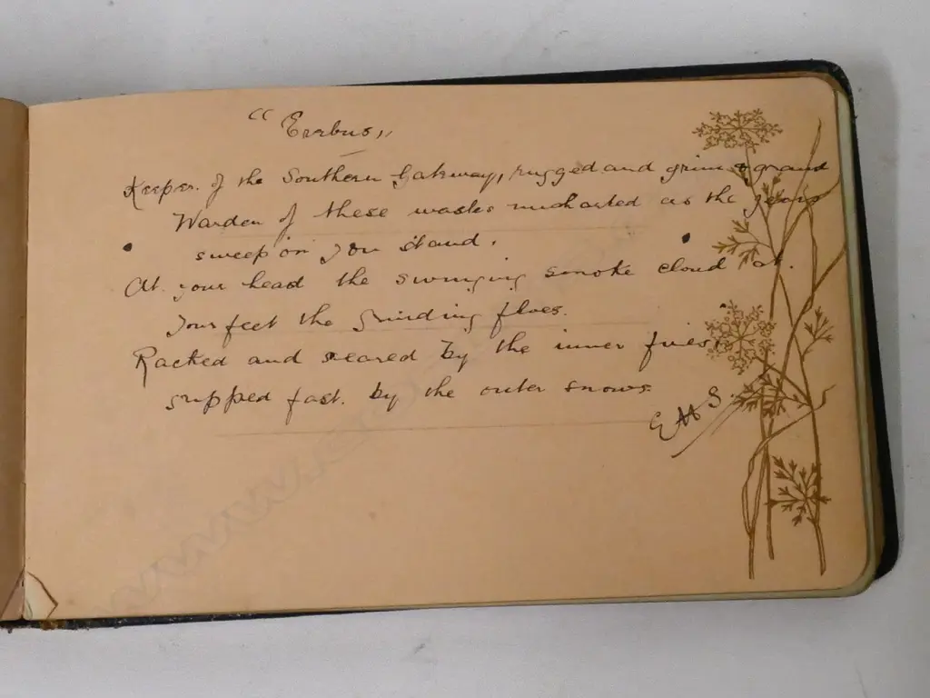 Historical items belonging to Captain Ernest E.M. Joyce Image 1++