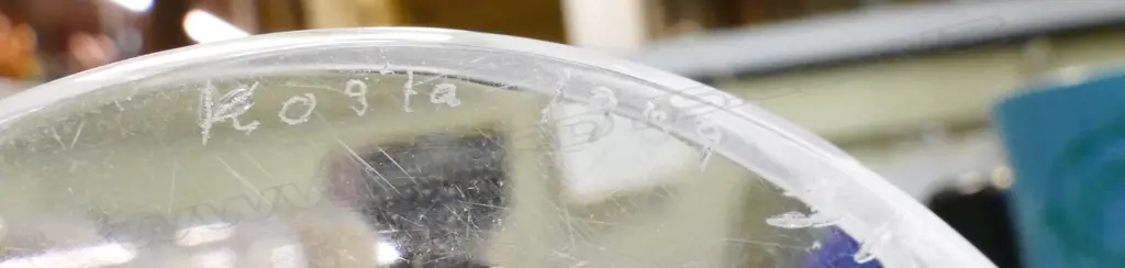 A Kosta crystal vase Image 1++