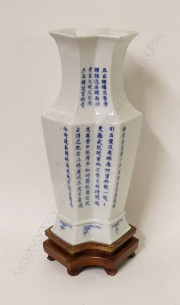 An unusual Chinese porcelain vase Image 1++